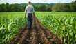 © KAMAPAN - Rear view of senior farmer walking in corn field examining crop in his hands at sunset.