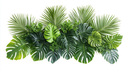 Lush green tropical plants arranged for decoration in a bright indoor space