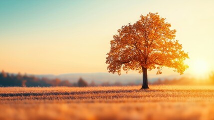 Aufkleber - Lone tree in a field during sunset, stunning autumn colors, peaceful landscape scene.