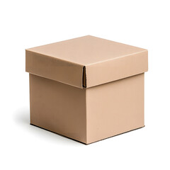 Brown Cardboard Box Mock up isolated on white background