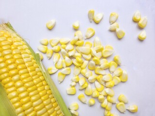 Wall Mural - Yellow sweetcorn on white background