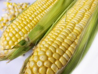 Wall Mural - Close up of yellow sweetcorn seed