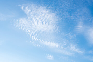 Wall Mural - clear sky and clouds