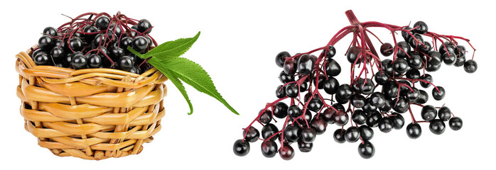 Poster - Ripe black elderberry or elder with green leaves in a wicker basket isolated on a white background. Sambucus