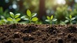 © FeriFerdinan - Concept of plants growing in the garden, eco concept