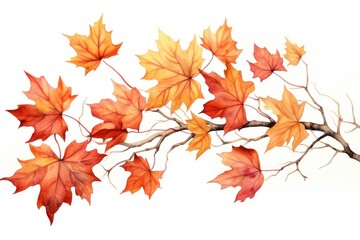 Sticker - Illustration of autumn leaves plant maple leaf.