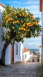 © Maria Mikhaylichenko - Vibrant orange tree laden with ripe fruit graces a quaint cobblestone street in a picturesque Mediterranean village, framing a view of distant rooftops.