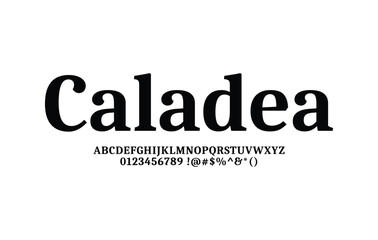 Caladea font for logo and headline. Isolated vector typeset