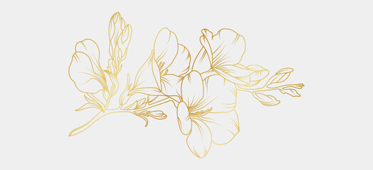 Wall Mural - Golden freesia flowers line art isolated on white background. Luxury magnolia floral design elements for invitation, wedding, wallpaper, print template, vector illustration