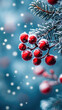 © Synthetica - A close up of a branch with red berries on it. The berries are covered in snow, giving the image a wintery and festive feel