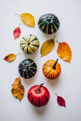 Poster - Stock background with orange pumpkins and fall leaves