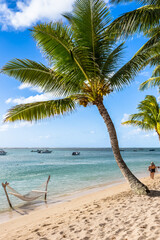 Wall Mural - Hamac sous un cocotier, plage du morne, Île Maurice 