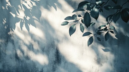 Poster - abstract shadows of tree leaves on a textured gray concrete wall featuring roughness and irregularit