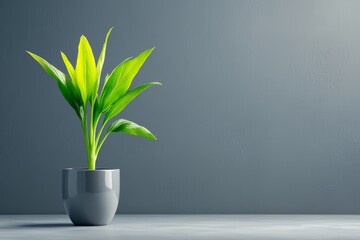 Aufkleber - A minimalist design of a celery stalk, with a clean line capturing its natural form against a light background