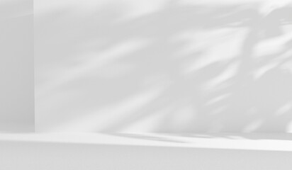Aufkleber - White wall in studio room with sunlight and shadows, empty minimalistic wall room abstract background gray template display copy space