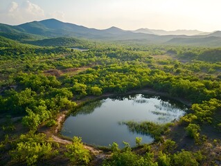 Wall Mural - Aerial Drone View of Rewilded Natural Habitat in Serene Countryside Landscape