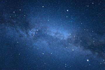 Wall Mural - starry sky. night scape with beautiful starry sky