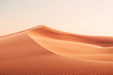 Wall Mural - Desert and sand outdoors nature dune.