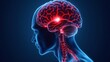 © Sunisadonphimai - Illustration 3D of human brain scan