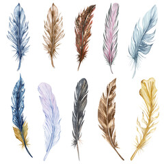 Naklejka na meble Hand drawn watercolor feather set. Boho bird feathers cipart