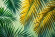 © Diana - Shadow of vibrant green and yellow palm leaves on a light wall, creating a tropical and lively background with a refreshing, natural aesthetic. Ideal for summer-themed designs.