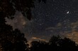 © Belvedere studio - Starry night sky with a crescent moon over trees in a tranquil outdoor setting during the late evening