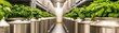© Moonroad - A well-lit indoor garden featuring rows of green plants in metallic containers, highlighting hydroponic or vertical farming techniques.