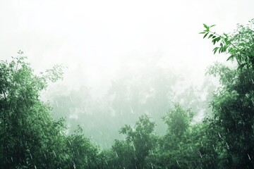 Aufkleber - Evergreen forest in rain, a serene and refreshing scene of an evergreen forest during rainfall, with water droplets on the leaves and a misty atmosphere,