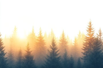 Aufkleber - Evergreen forest in sunrise, a beautiful and warm scene of an evergreen forest at sunrise, with golden light illuminating the trees,