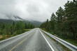 © Alicia - Empty road in a moody norway mountain landscape