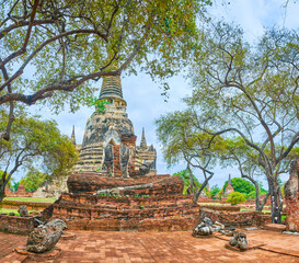 Wall Mural - Wat Phra Si Sanphet archaeological complex in green park, Ayutthaya, Thailand