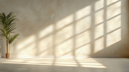 Poster - A solitary potted plant stands against a beige wall, while sunlight streams through a window, creating a delicate play of light and shadow in a serene space.