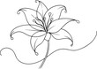 © mahira - Beautiful Lily in One Line Minimalist Flower Illustration