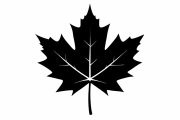 canadian maple leaf black silhouette vector, maple leaf icon