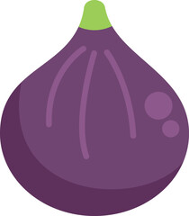 Poster - Single ripe fig is standing up on a blank background