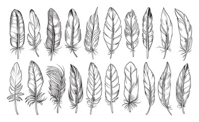 Wall Mural - Bird Feathers Doodle Style Icons Set White Background Hand Drawn Sketchy Feather Collection Various Ornate Plumes Nature Inspired Line Art Whimsical Drawing Detailed Feather Set