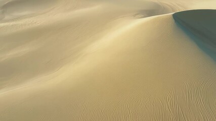 Aufkleber - Wind forming patterns in the sand dunes of a vast and empty desert. Beautiful golden light bathes the sand in a warm glow