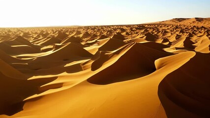 Aufkleber - Sunlight illuminating vast golden sand dunes creates long shadows and accentuates the undulating patterns of the desert, showcasing a surreal and endless landscape
