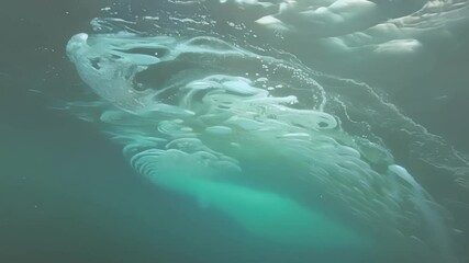 Aufkleber - Turquoise color of water with ice formations below its surface. Air is trapped as bubbles, creating interesting shapes. Surreal and abstract concept