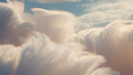 Poster - White feathers are blowing in the wind against a blue sky with clouds. This surreal footage evokes lightness and softness