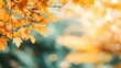 © terat - Autumn Leaves Bokeh Background