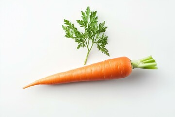 Carrot isolated. Carrot on white background. Carrot with green leaves. With clipping path. Full depth of field.