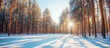 © boxstock production - Snowy forest at sunrise with tall trees casting shadows on the winter landscape