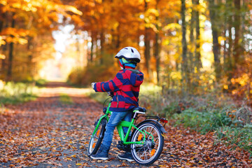 Little kid boy in colorful warm clothes in autumn forest park driving a bicycle