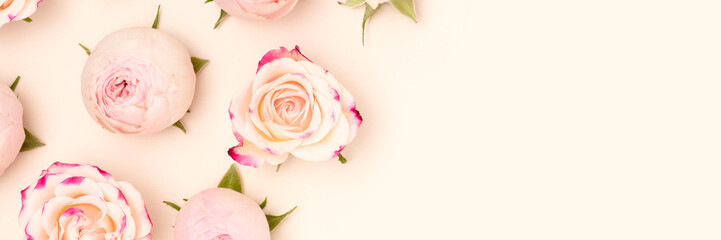 Wall Mural - banner with rose flowers on a beige background. place for text.
