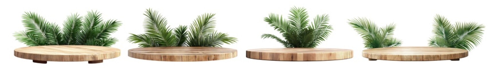 Sticker - Set of green tropical leaves on wooden round boards, cut out