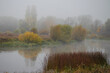 © Александр Арендарь - autumn landscape with fog