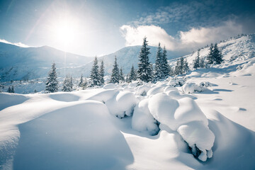 Wall Mural - Frosty winter weather in the mountains on a sunny day after heavy snowfall. Photo wallpapers.