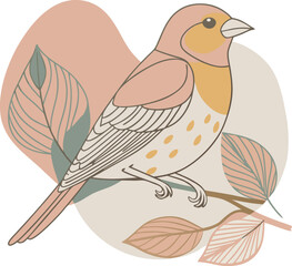 Wall Mural - Pinch Bird Colourful Vector