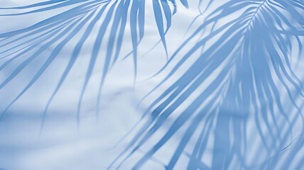 Wall Mural - light blue background palm leaves and copy space, summer backdrop